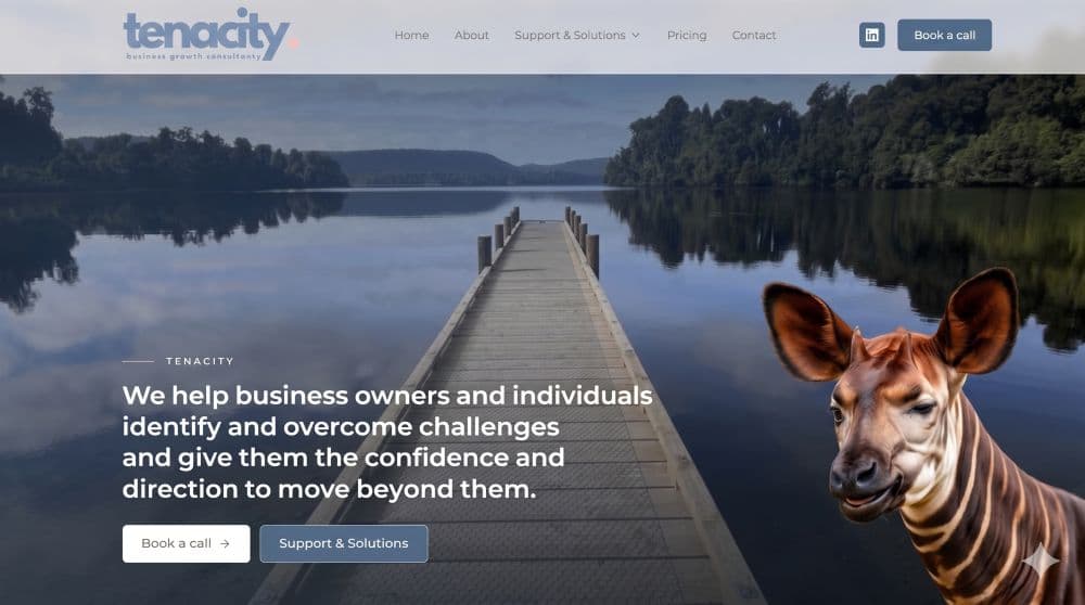 Case study: a bespoke website and custom CMS for Tenacity