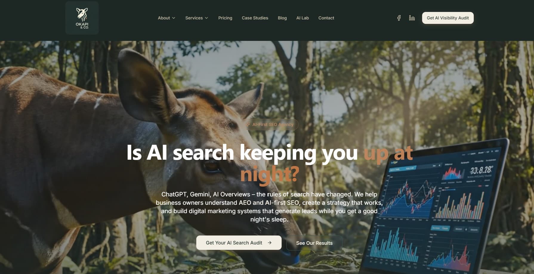 Introducing the New Okapi & Co Website